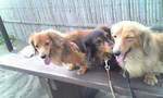 20081012_1359~01.jpg